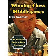 Ivan Sokolov: Winning Chess Middlegames